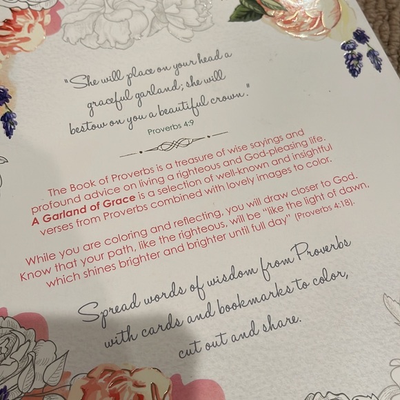 💕Wisdom of Proverbs Colouring Book - Picture 5 of 8